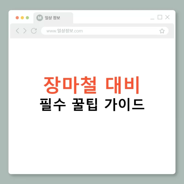 장마철 대비 필수 꿀팁 가이드