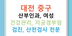 대전 중구 산부인과, 여성 건강관리, 자궁경부암 검진, 산전검사 전문