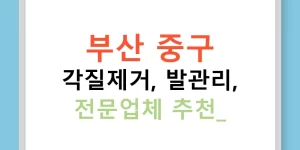 부산 중구 각질제거, 발관리, 전문업체 추천!