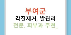 부여군 각질제거, 발관리 전문, 피부과 추천!