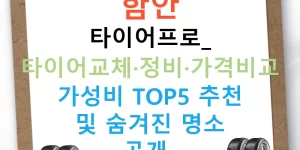 함안 타이어프로: 타이어교체·정비·가격비교 가성비 TOP5 추천 및 숨겨진 명소 공개!